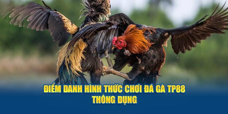 Điểm danh hình thức chơi đá gà tp88 thông dụng