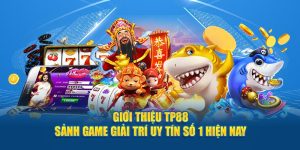 Giới thiệu về TP88