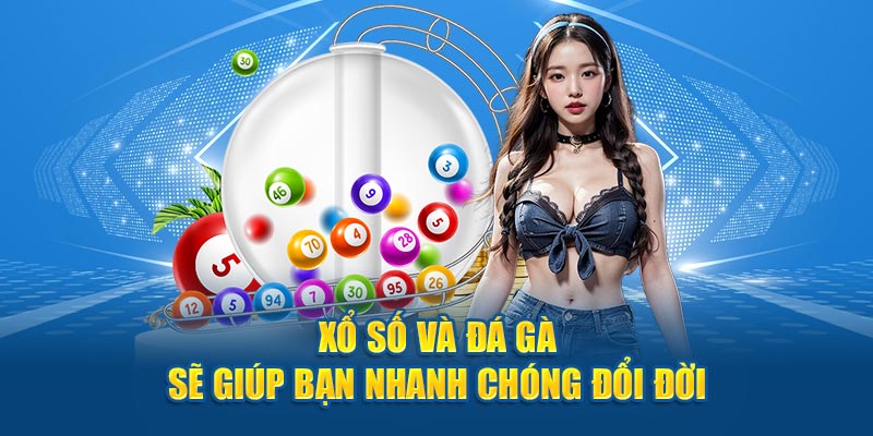 Xổ Số và Đá Gà sẽ giúp bạn nhanh chóng đổi đời